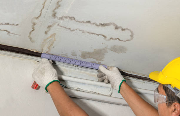 Reliable Mold Remediation contractor in New Braunfels, TX by Water Damage Irwin